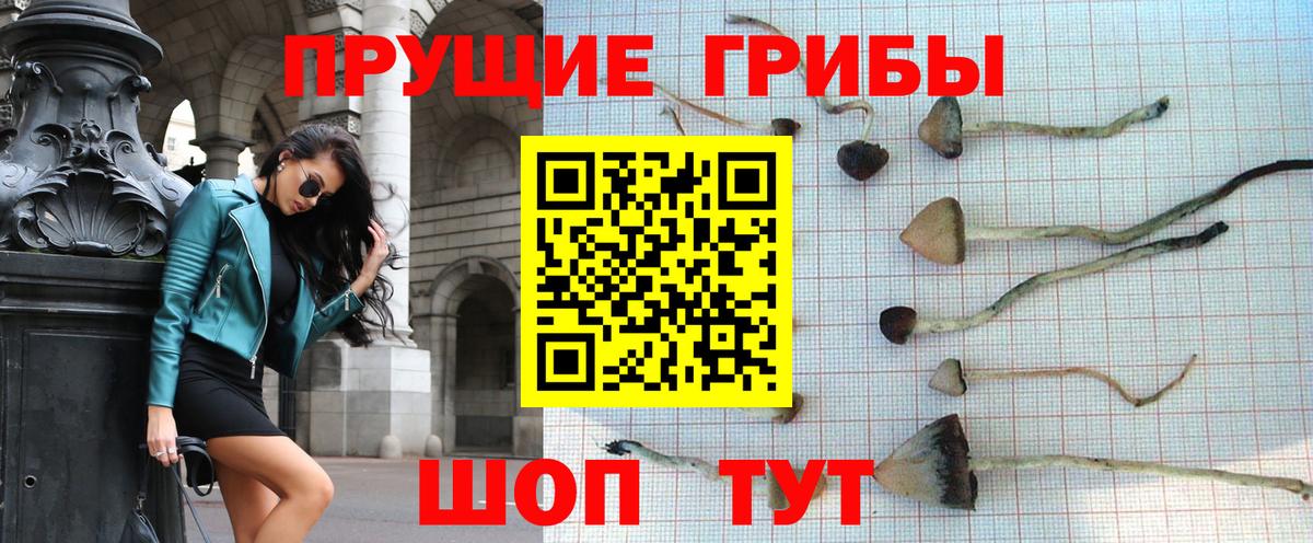Псилоцибиновые грибы ЛСД  Галлюциногенные грибы Magic Shrooms  Вход с VPN  Саяногорск 